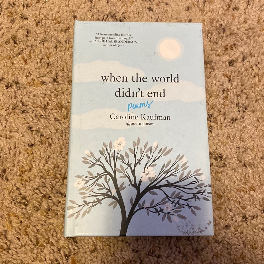 When the world didn’t end poem book